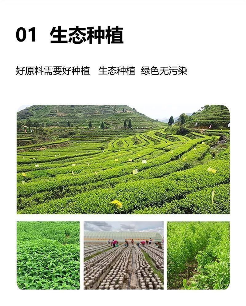 White Tomato Extract Powder 99% Concentrated Natural White Tomato Powder