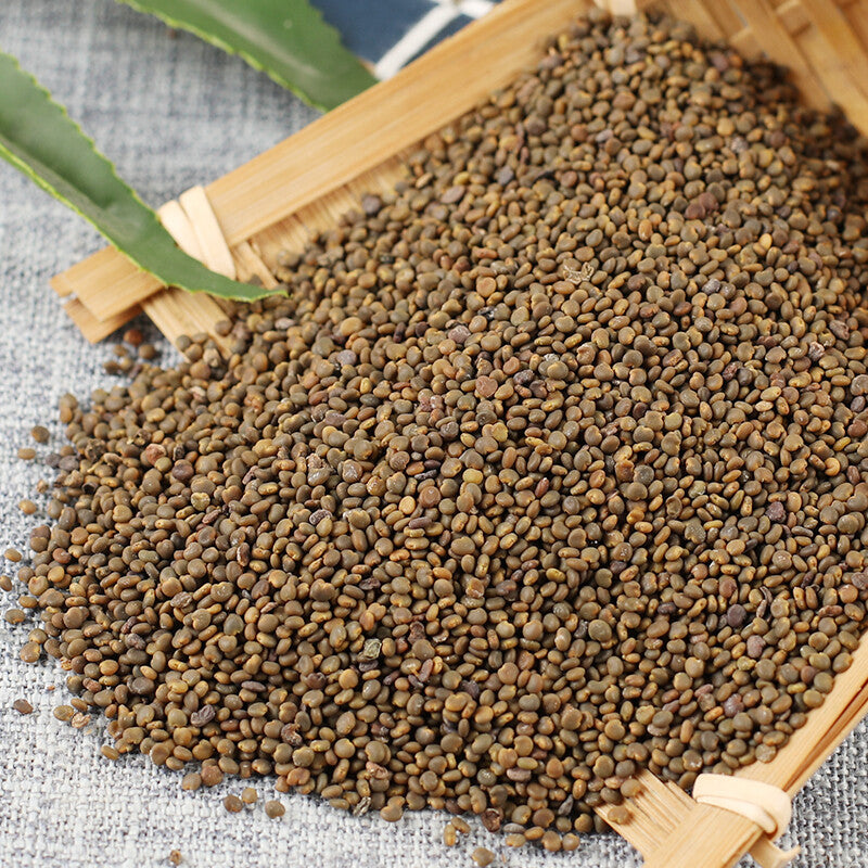 沙宛子 250g Top-grade Sha Wan Zi 100% Organic Healthy Herbal Tea