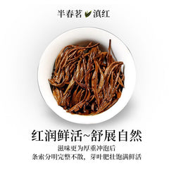 Yunnan Dianhong Tea Ancient Tree Black Tea 2024 New Authentic Gift Tea