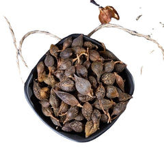 HelloYoung 100% natural dried herb Poria Lian Qiao Fructus Forsythiae aromatic Chinese herb