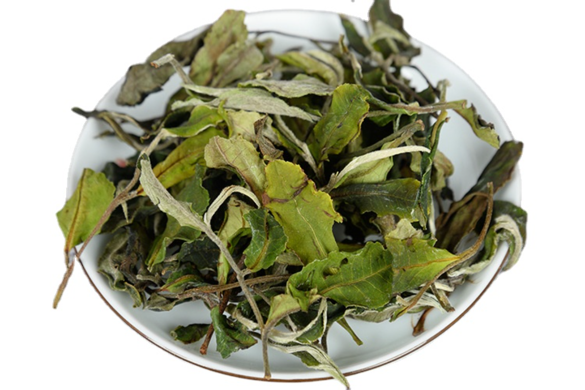 HelloYoung 500g Yunnan white tea early spring ancient Fuding white tea process white tea