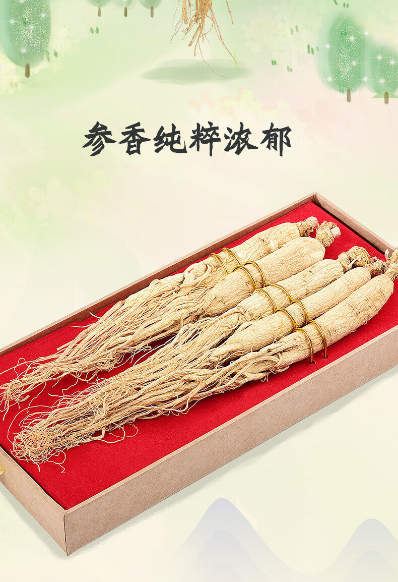 100g Ginseng Changbai Mountain Selected Large Strips Ginseng Health Tea Tonic