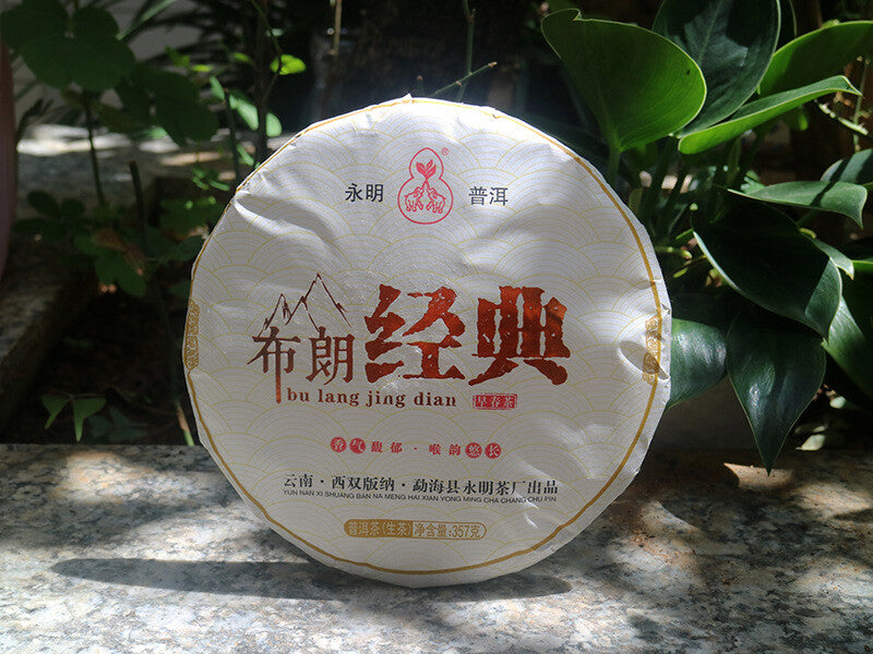 2499g Brown Classic Pu'er Raw Tea Yunnan Ancient Tree Spring Tea 7 Whole Cakes