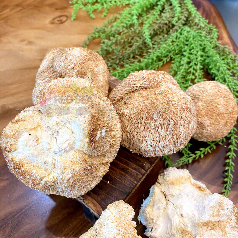 HelloYoung Premium Lions Mane Mushroom Hericium Erinsceus Mushroom Chinese Dried Goods 250g