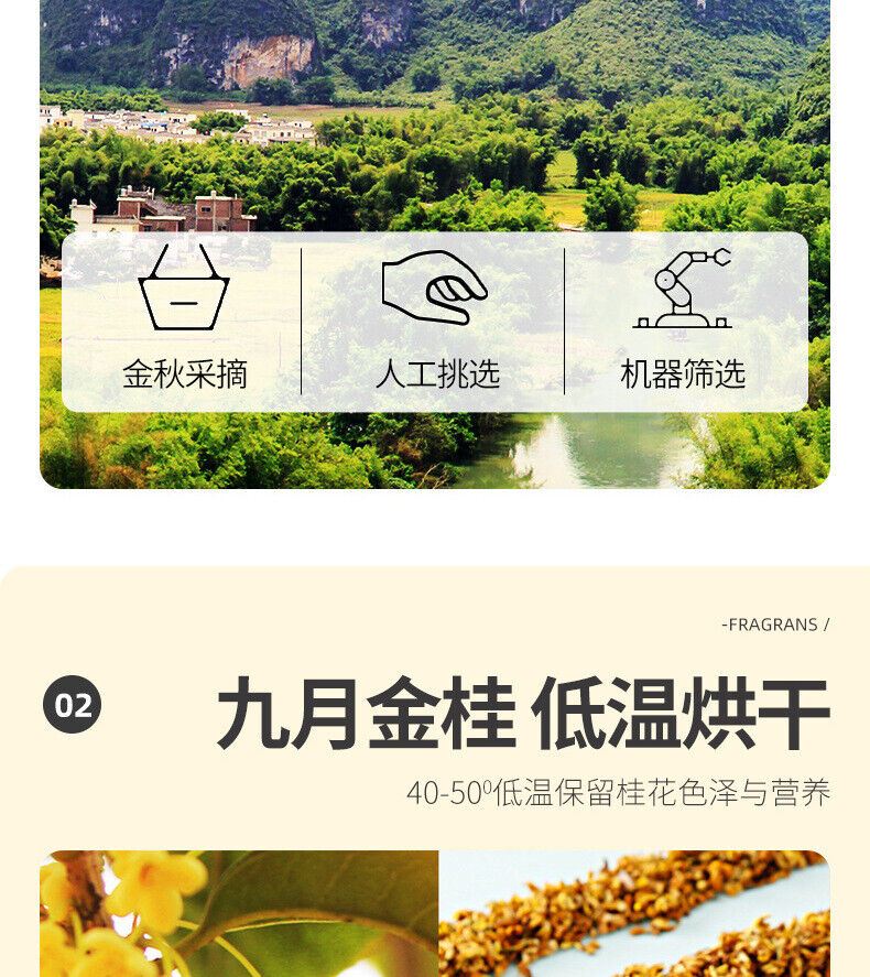 HelloYoung Osmanthus Tea 25g Flower Tea 桂花茶 桂花干特产罐装 花茶