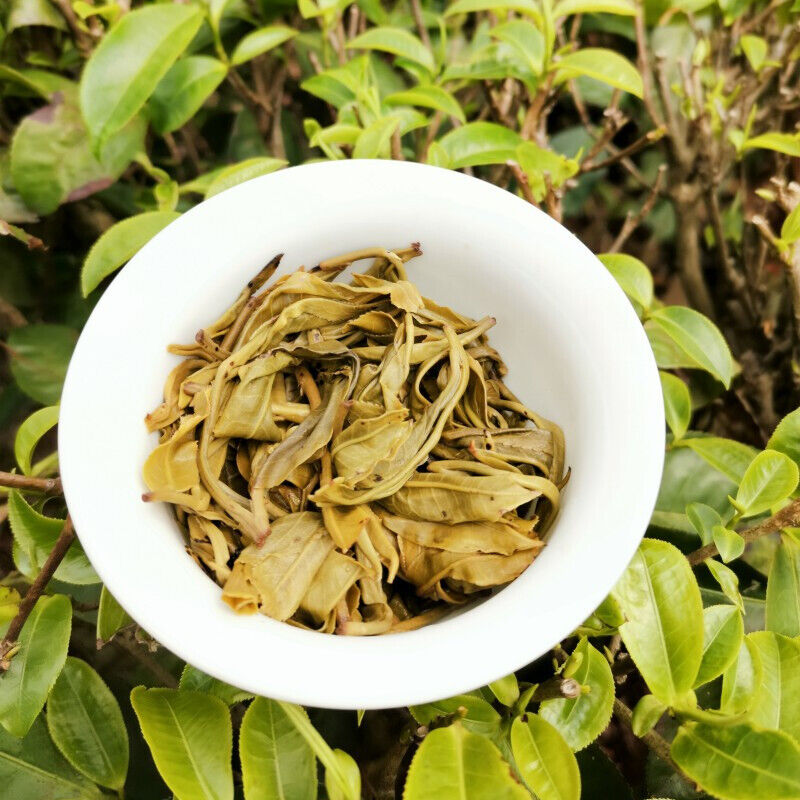 Icelandic Bingdao Ancient Tree Pu-erh Tea High Quality Cha Pu'er Tea Cake 357g