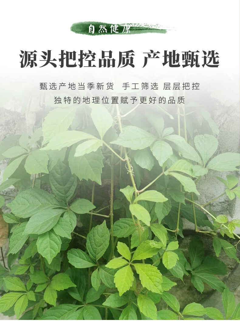 100g Gynostemma Tea: Herbal Health Drink for Wellness