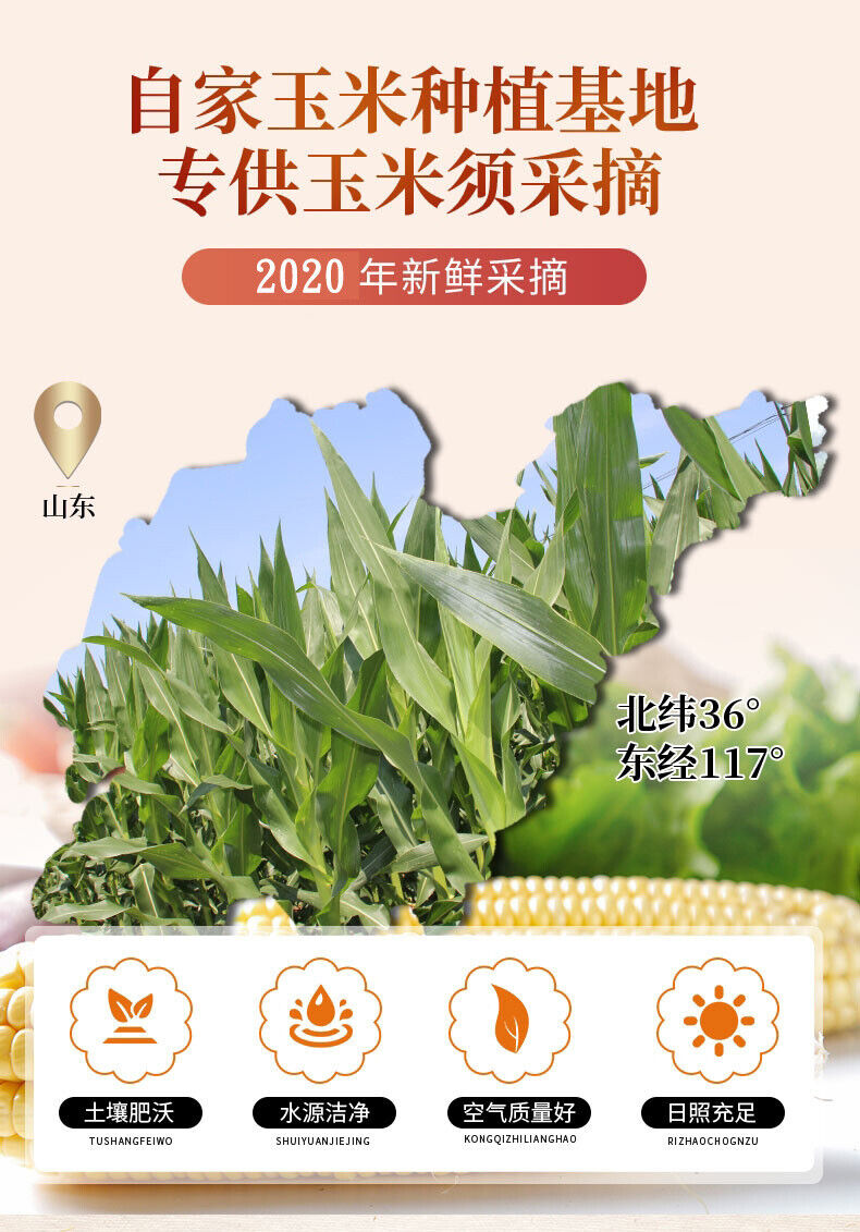 Organic Corn Silk Tea Natural Corn Silk Health Flower Tea Herbal Tea 250g