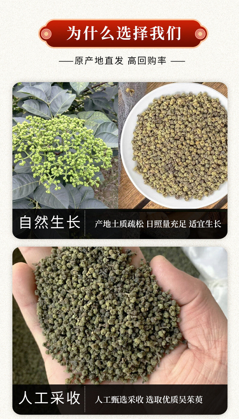 Wu Zhu Yu Powder Fresh Evodia Powder Chinese Herbs Tetradium Ruticarpum 200g