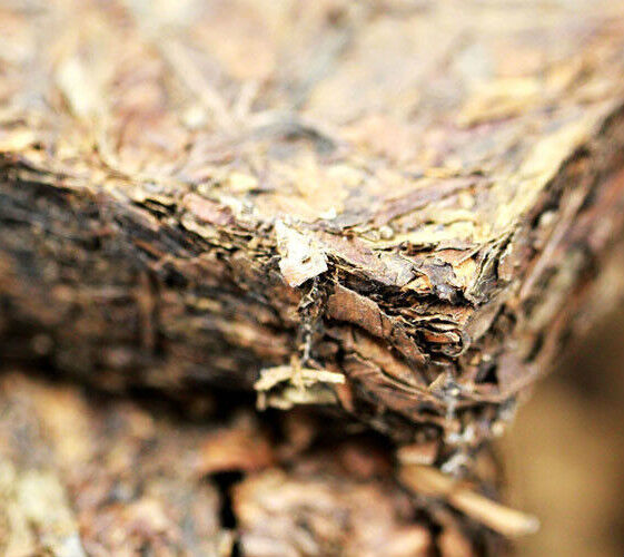 250g Puer Tea Tree Old Shu Puer Tea Agilawood Tambac Healthy China Puerh Tea