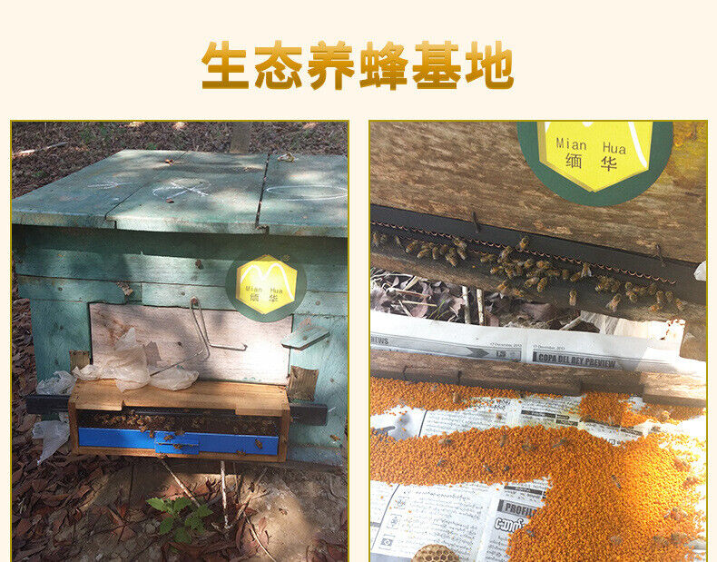 Yunnan Source Selected Granular Pu'er Spring Tea Pollen Soil Specialty 200g