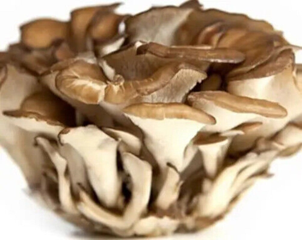 500g Getrockneter Maitake-Pilz – Natürlicher, Lebensmittelgeeigneter Pilz