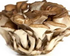 500g Getrockneter Maitake-Pilz – Natürlicher, Lebensmittelgeeigneter Pilz