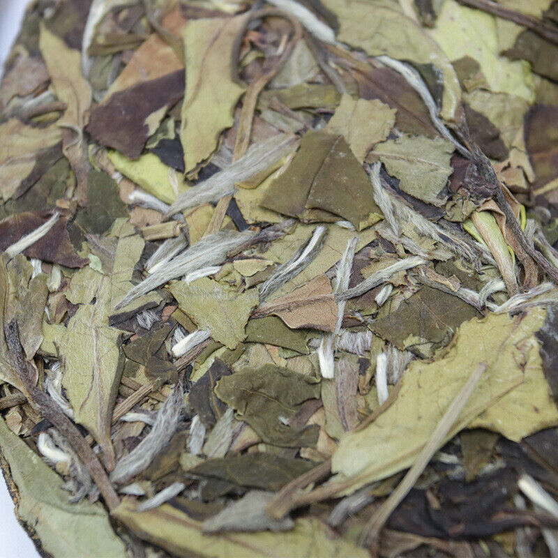 HelloYoung Healthy Drink 300g Shoumei White Tea High Mountain White Fuding White Tea Cake