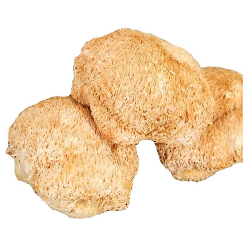 HelloYoung 100% Organic Dried Lion's Mane Mushroom Chinese Herbs 17.6oz