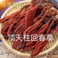 Yunnan Rejuvenation Grass Hui Chun Cao Ingredients for Soaking Wine Herb Tea