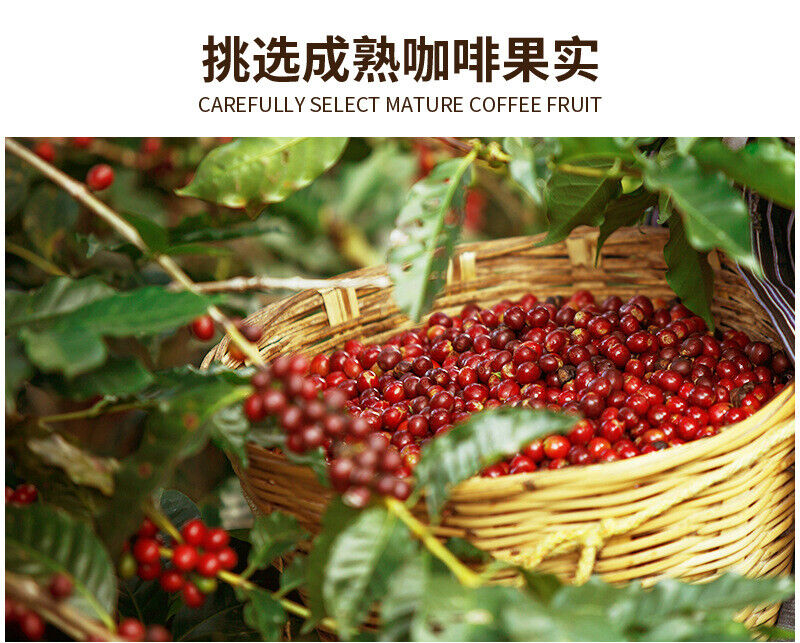 Bulletproof Coffee Satiety MCT Ketogenic Coffee Instant Black Coffee Powder