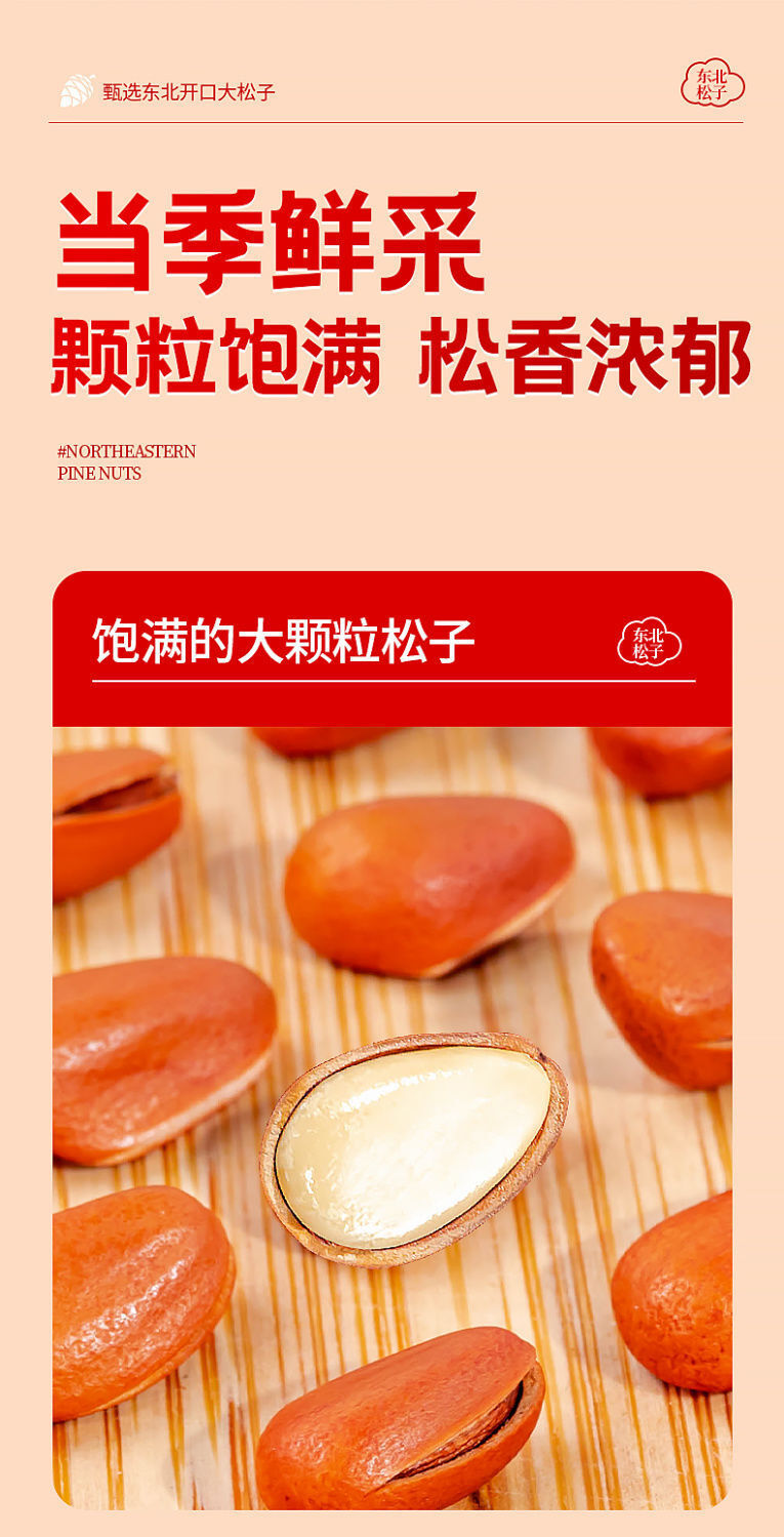 Premium Roasted Pine Nuts - Shelled Healthy Snack & Gift