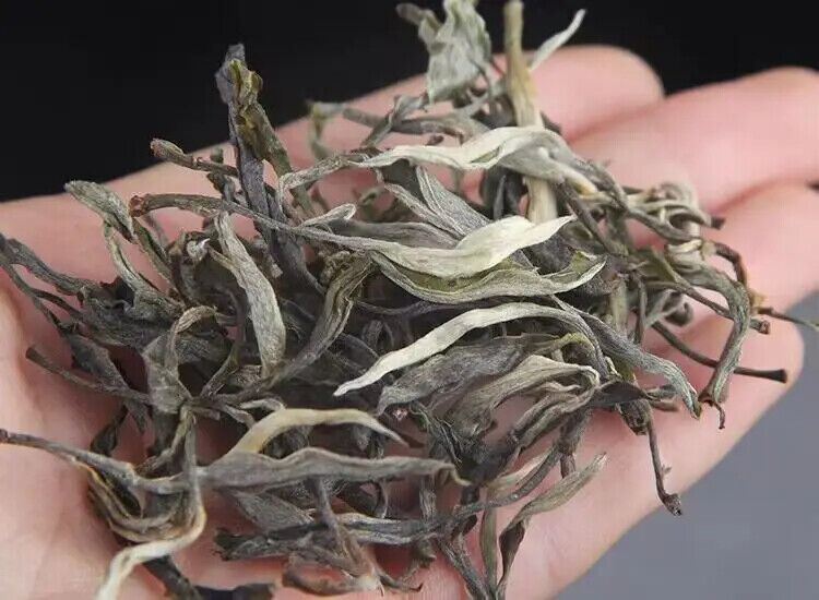 500G Yunnan Raw Puerh Loose Tea From Iceland 300 Years Old Tree Raw Puer Tea
