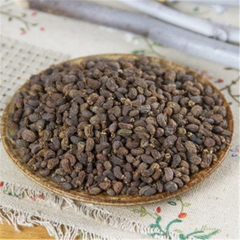 100% Natural Ligustri lucidi Fructus Nv Zhen Zi 女貞子 Organic Herb