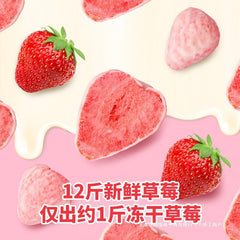 Freeze-Dried Strawberry with Chocolate & Yogurt Bites Fruit Snack 170g Can