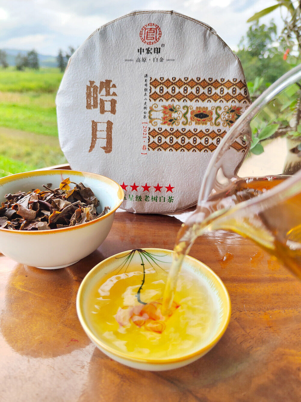 HelloYoung 300g White Tea Yunnan Pu'er Tea Moonlight White Pu'er Old Tree White Tea Cake