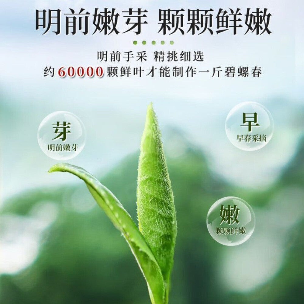 2025 Premium Bi Luo Chun Green Tea Ming Qian First Pick High Mountain