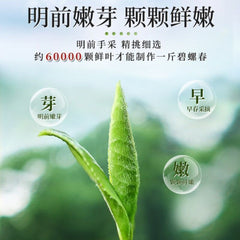 2025 Premium Bi Luo Chun Green Tea Ming Qian First Pick High Mountain