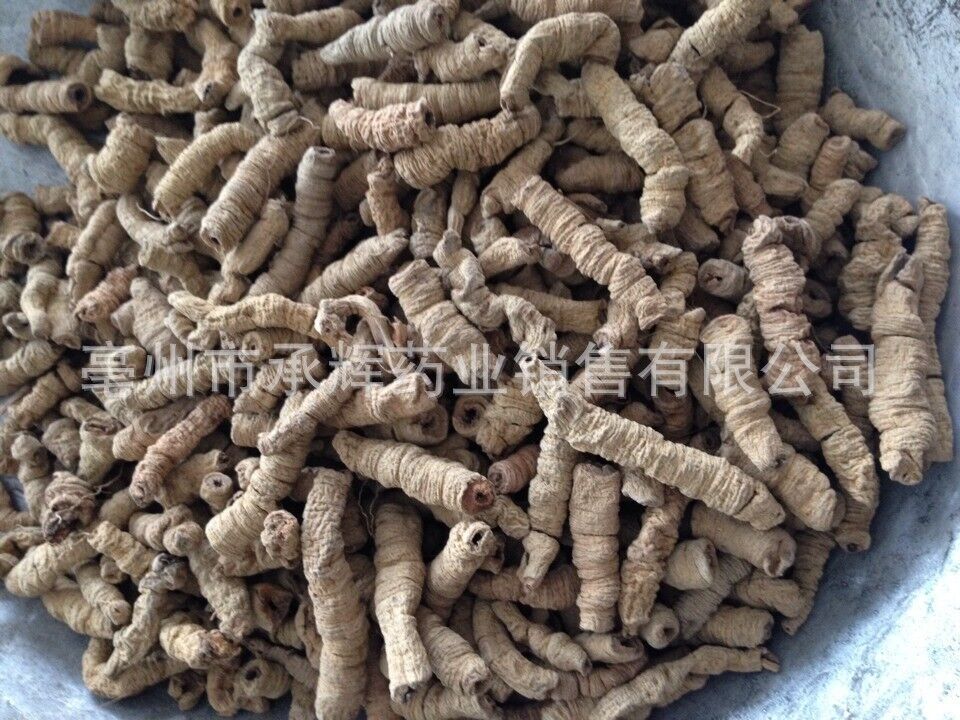 New Baji Tian Chinese Herbs Dried Baji 500g