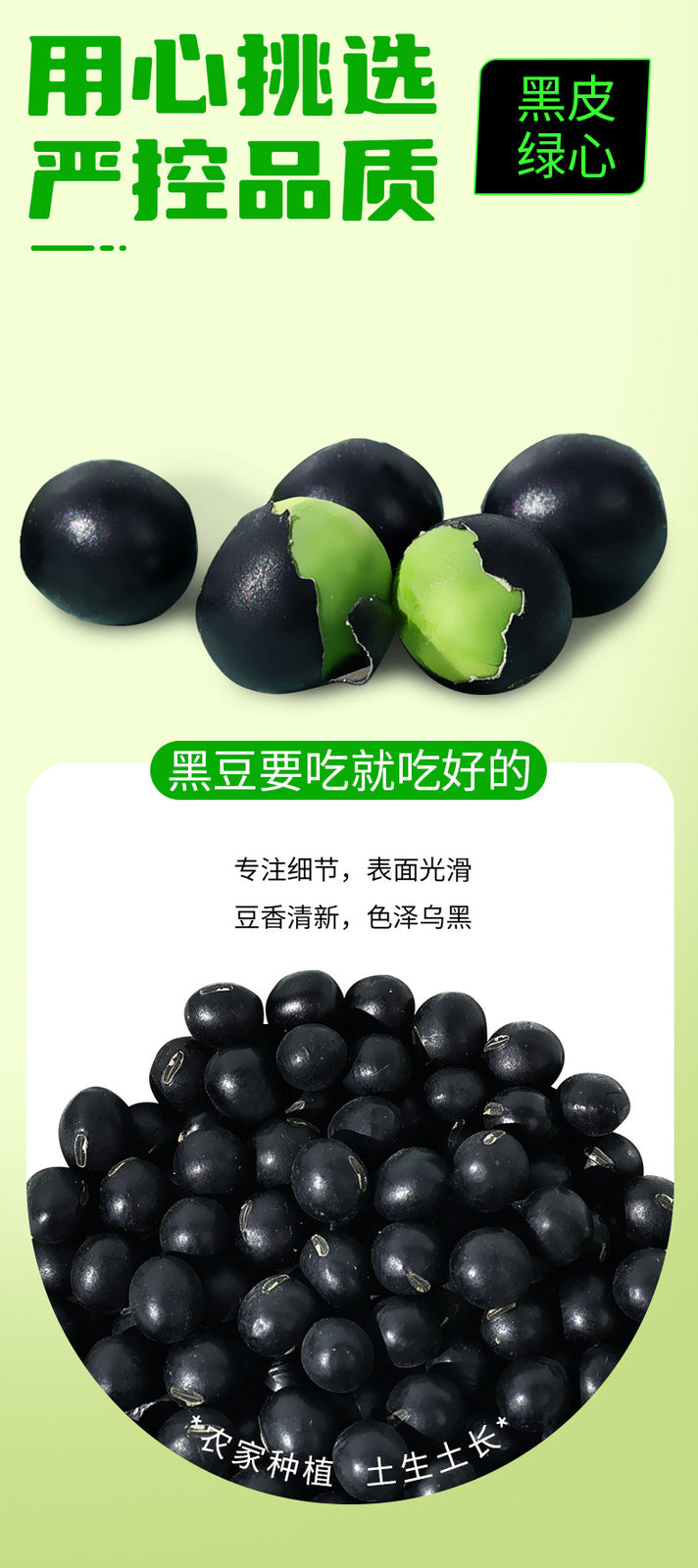 Green Heart Black Beans – Non-GMO Soybeans for Soy Milk & Bean Sprouts