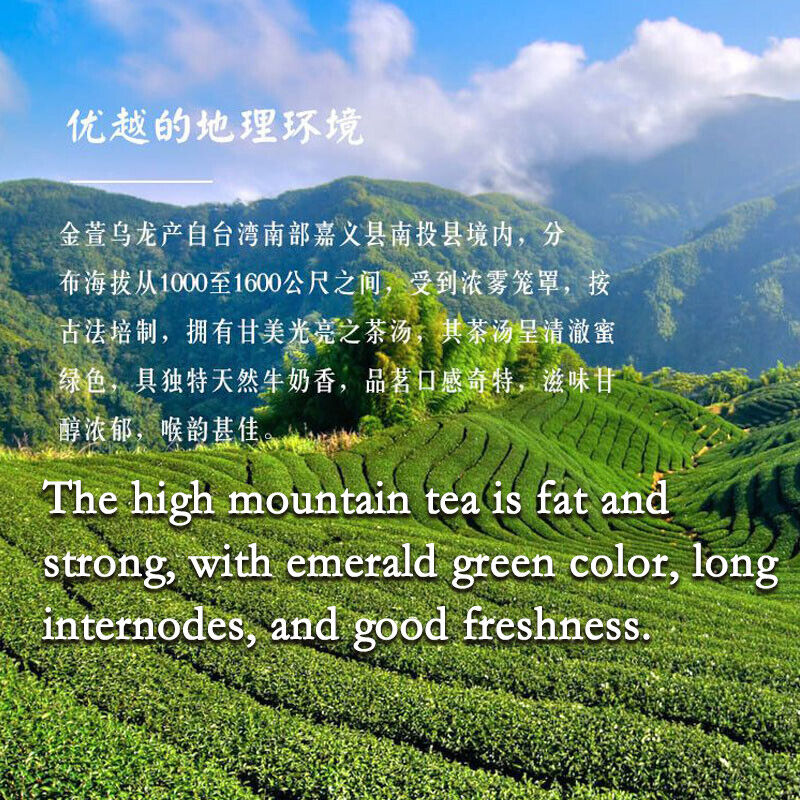 Taiwan Jin Xuan Milk Oolong Tea Milk Tea Tiguanyin Green Tea Milk Oolong Tea