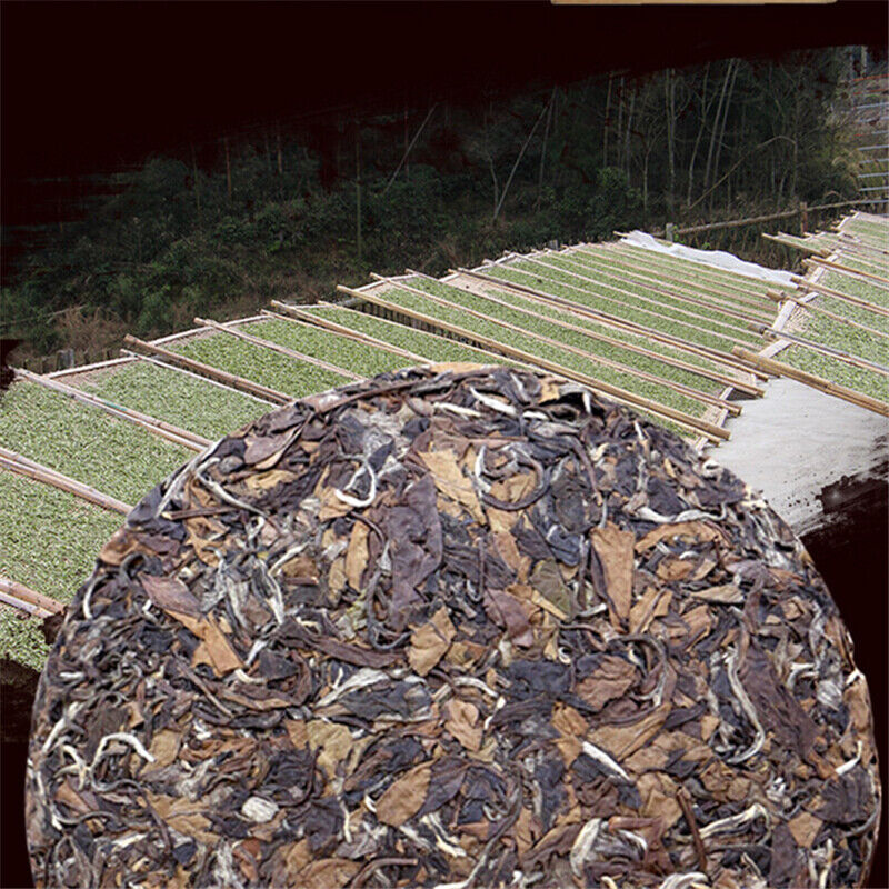 HelloYoung 350g Shoumei Date Fragrant White Tea Cake Top Fuding White Tea Chinese Tea