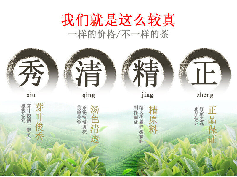 New tea Mao Jian green leaves Mingqian green tea Xinyang