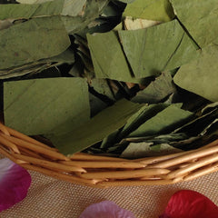 High quality natural Traditional Handmade Tea Lotus Leaf Green Tea Herbal Tea