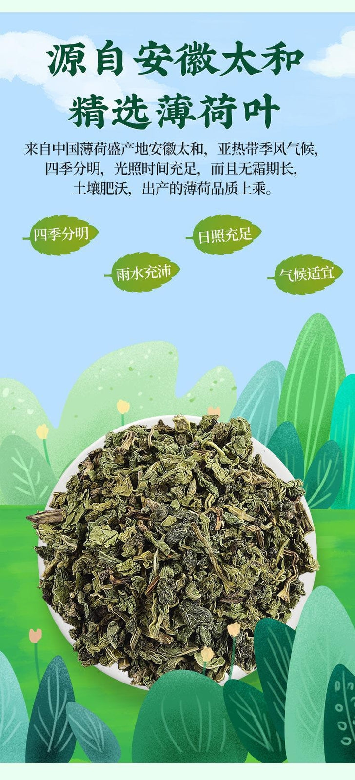 Mint Leaf Health Herbal Tea 75g Dried Mint Leaf Granules Flower Grass Tea