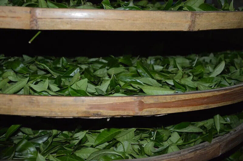 New China Authentic Green Tea Tieguanyin Oolong Tea Natural Organic Health 250g