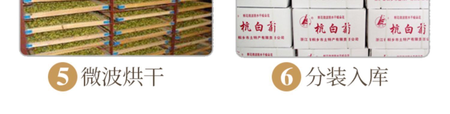 Special Grade Chrysanthemum Tea Hangzhou White Chrysanthemum Herbal Tea