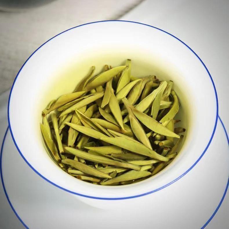 New Tea Authentic Alpine Bud Old White Tea Canned Premium White Tea 2024