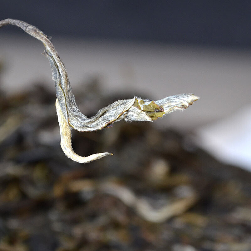 Ancient Tree Spring Tea Yunnan Pu'er Tea Seven Seed Cake Yiwu Tea 357g