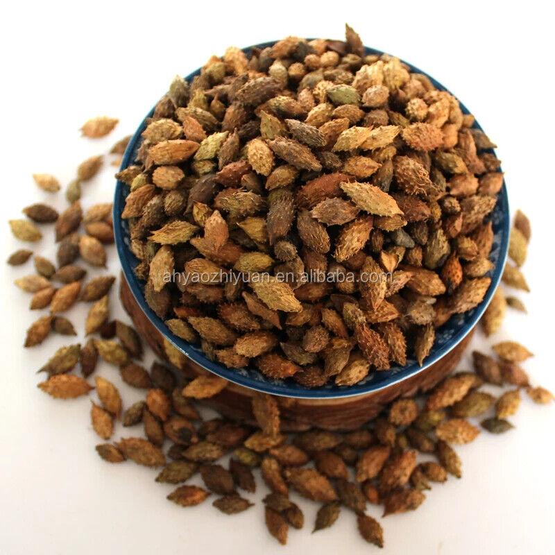 100% Pure Siberian Cocklebur Fruit  / Xanthium Sibiricum Herbs 250g
