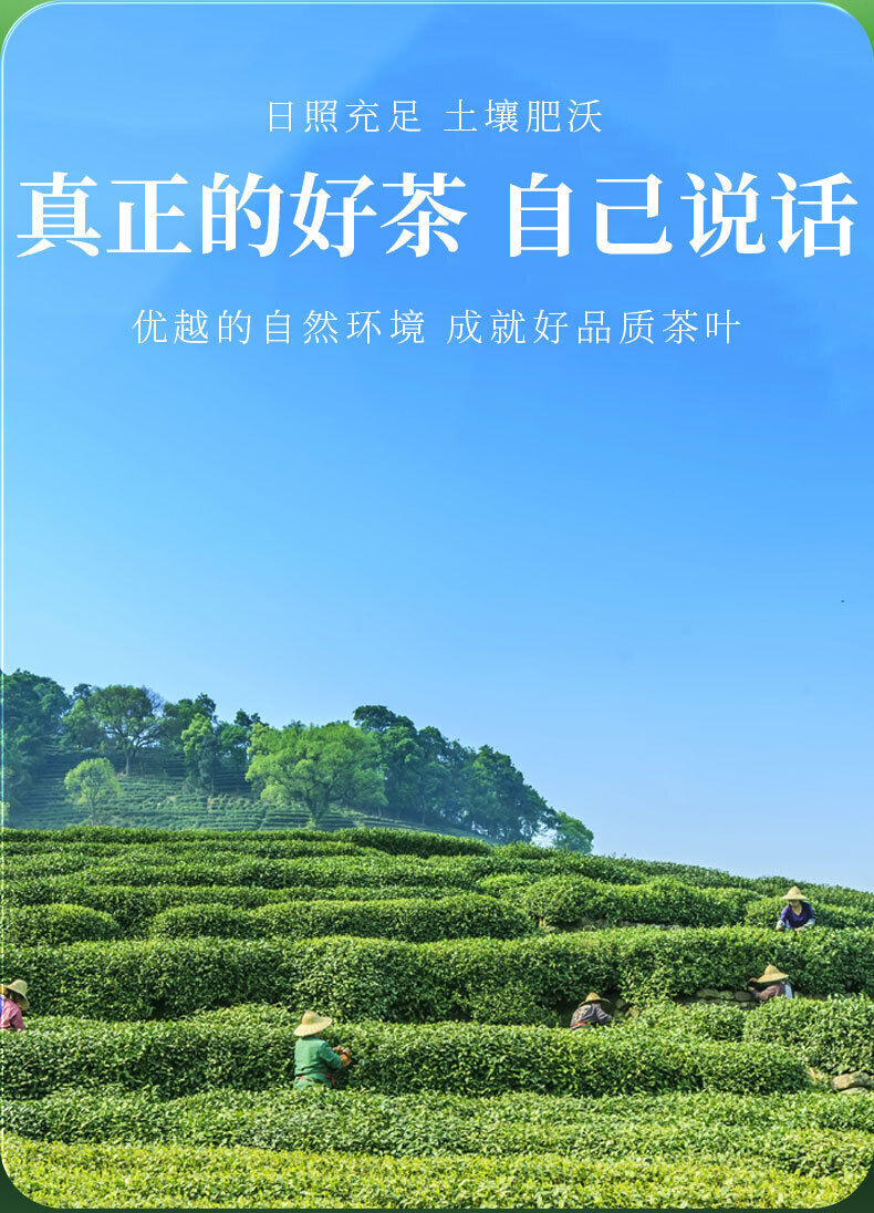 Jinjunmei Black Tea Mellow and Good Tea Leaves Fragrant Bagged Tea 50g