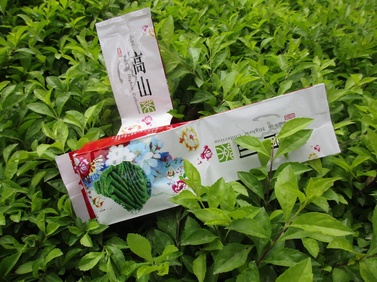 Milch Geschmack Oolong Tee 125g Tiguanyin Grüner Tee Jin Xuan Milky Oolong Tee