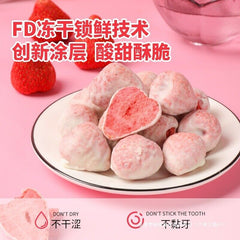 Freeze-Dried Strawberry with Chocolate & Yogurt Bites Fruit Snack 170g Can