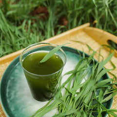 HELLOYOUNG100% Pure Barley Grass Powder -Fresh Green, Tasty Flavour