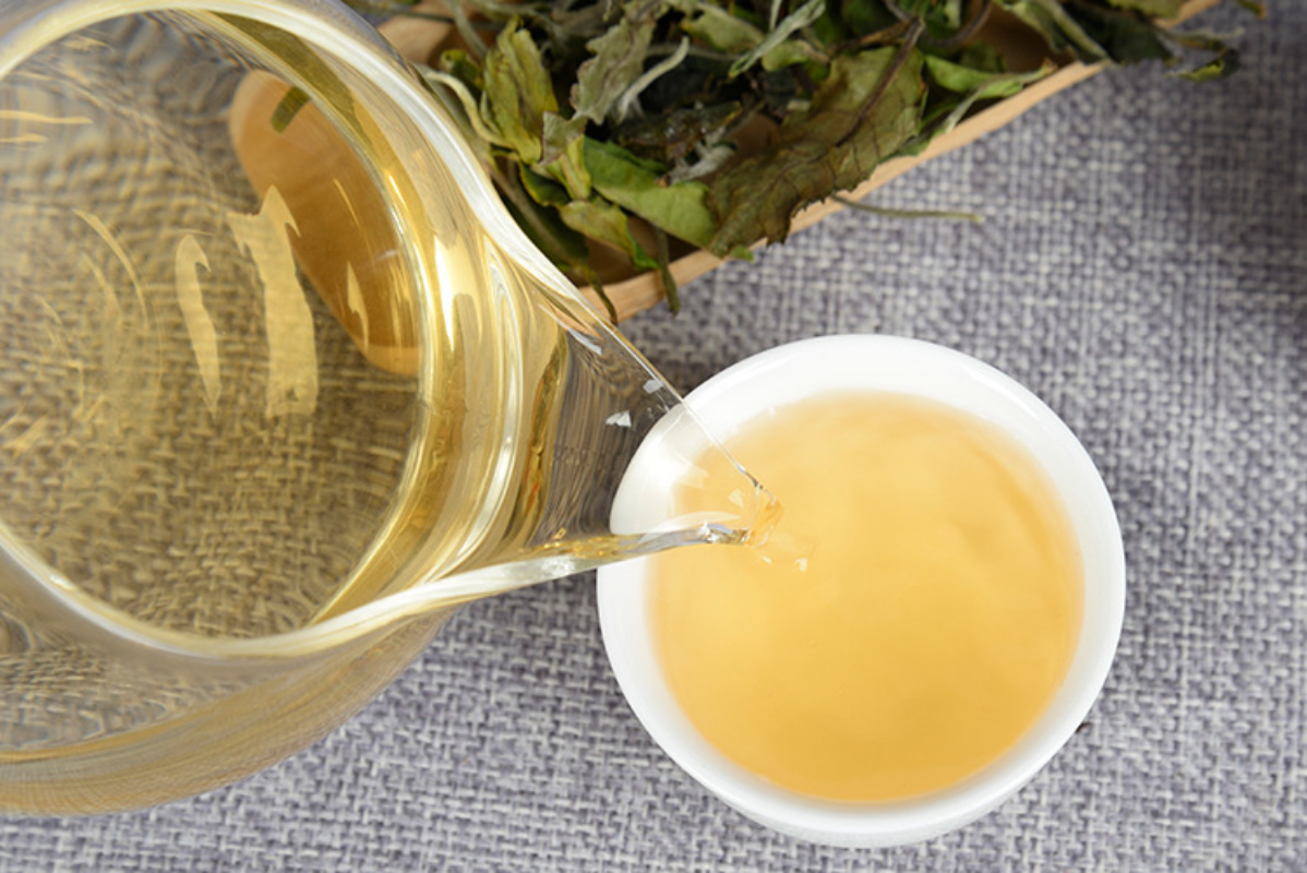 HelloYoung 500g Yunnan white tea early spring ancient Fuding white tea process white tea