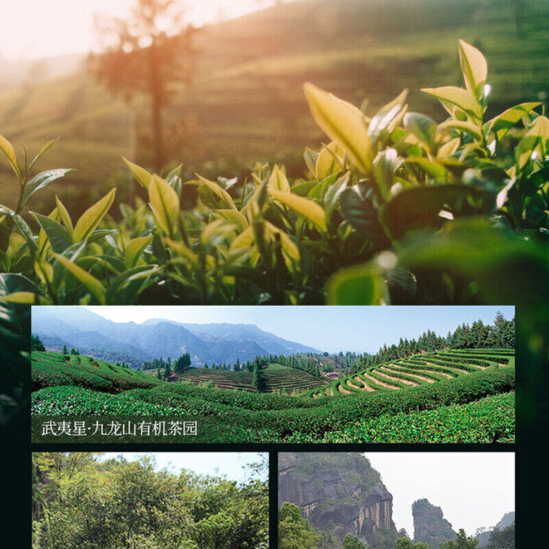 Lao Cong Shui Xian Oolong Tea   Rock Tea  Yan Cha 100g/3.52oz