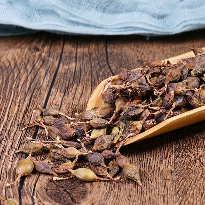 Recommend Dried Weeping Forsythiae Capsule Premium Fructus Forsythiae