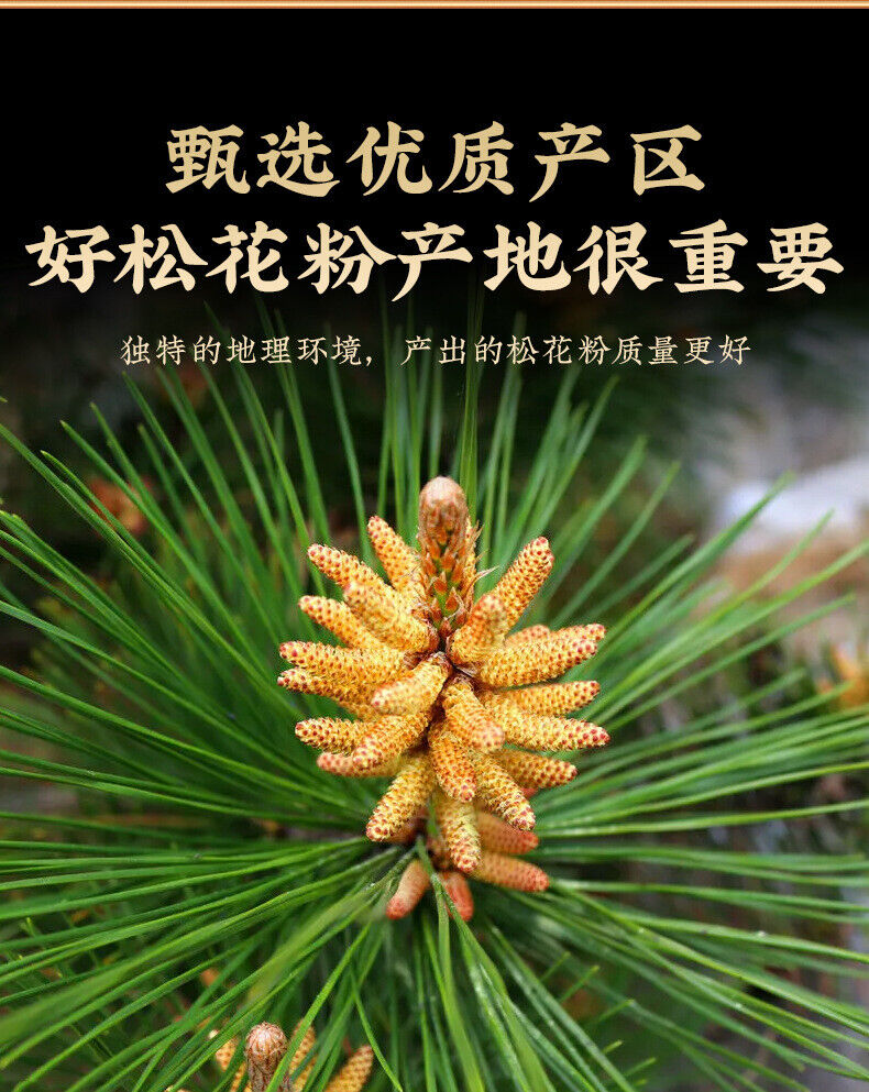 HelloYoung Pine Pollen Raw Pollen Pine Pollen New Powder Headway Powder Produce 100g/Jar