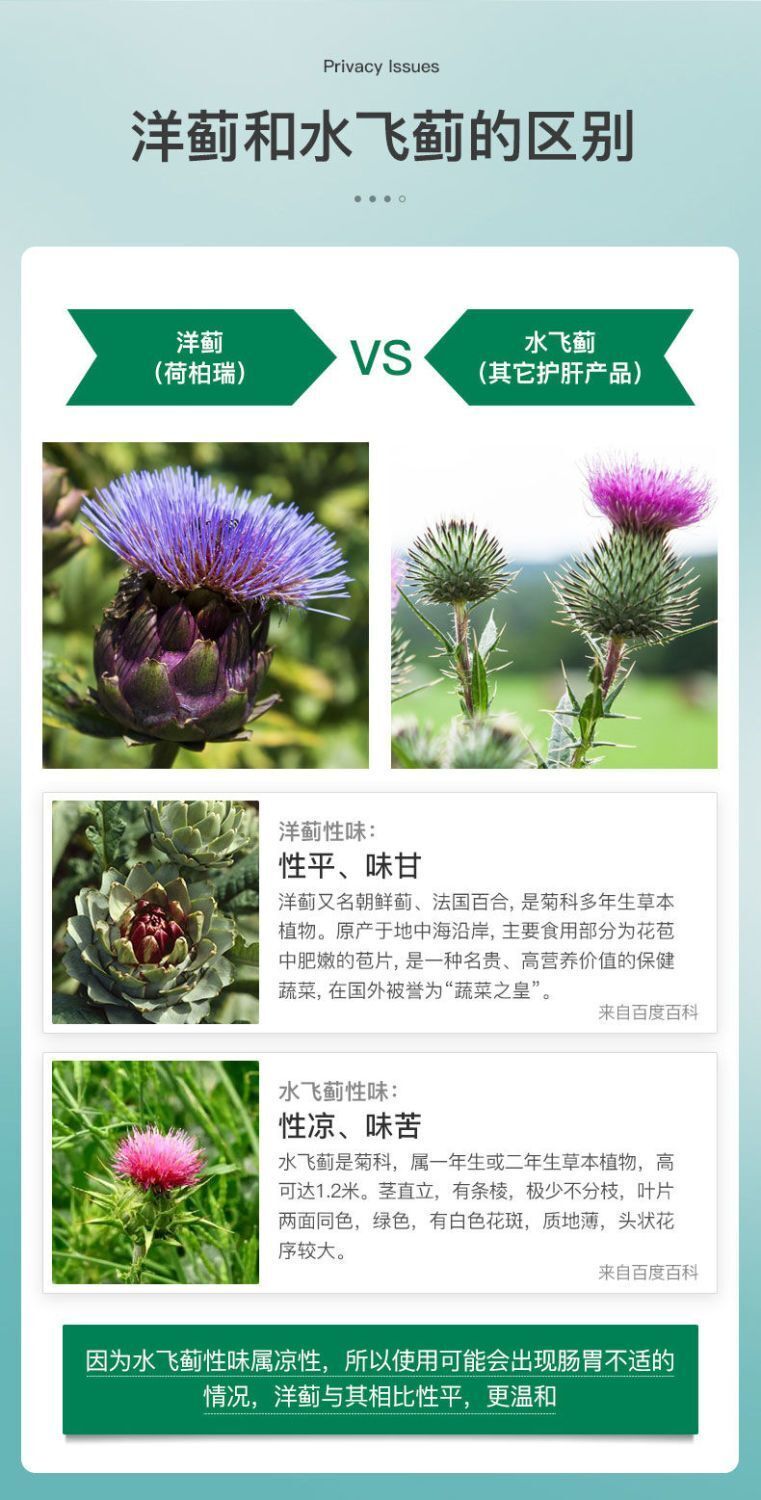HB Liver Protection Tablets Artichokes and Artichokes Capsules 350mg*60 Capsules