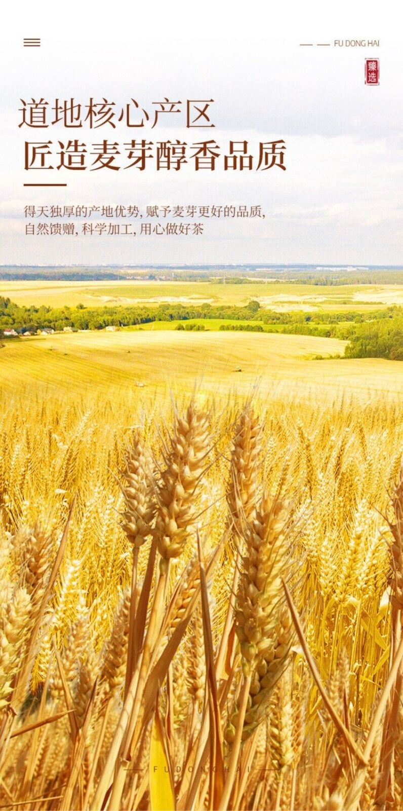 Premium Roasted Barley Tea 500g Natural Chinese Herbal Brew
